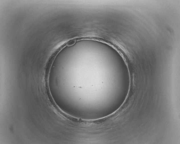 X0000116791452200912241153