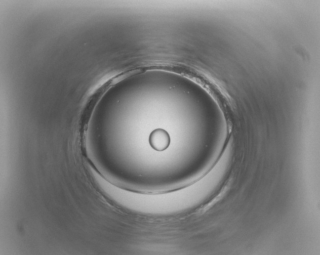 X0000116791453200912241153