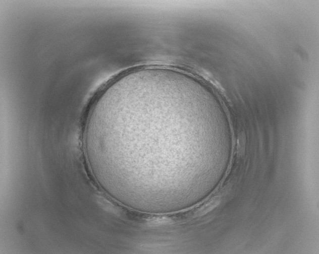 X0000116791454200912241153