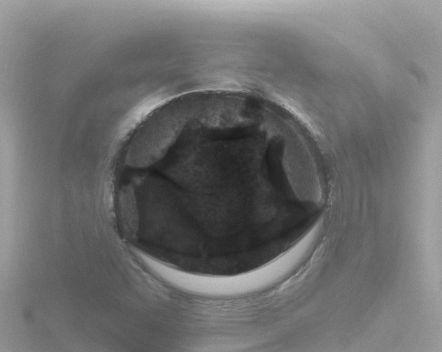 X0000116791455200912241153