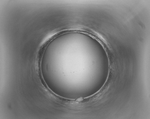 X0000116791456200912241153