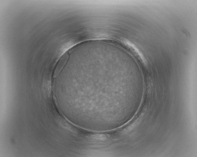 X0000116791457200912241152