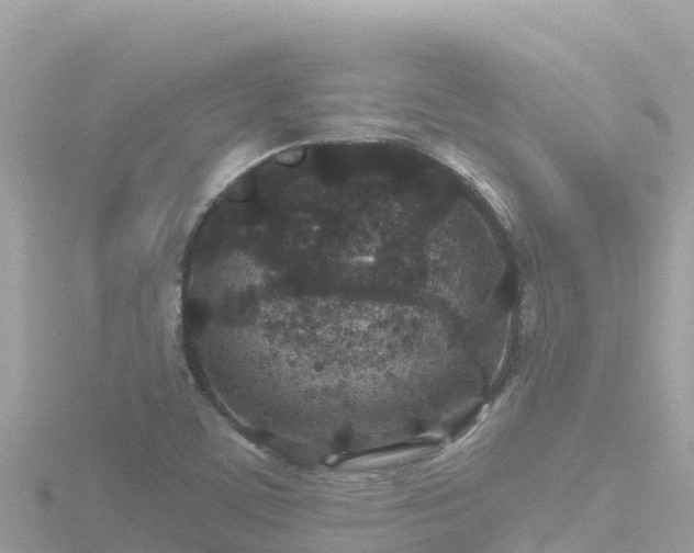 X0000116791459200912241152