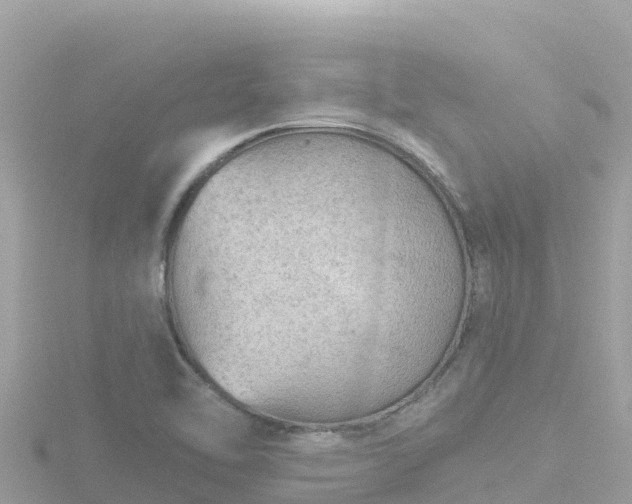 X0000116791462200912241152