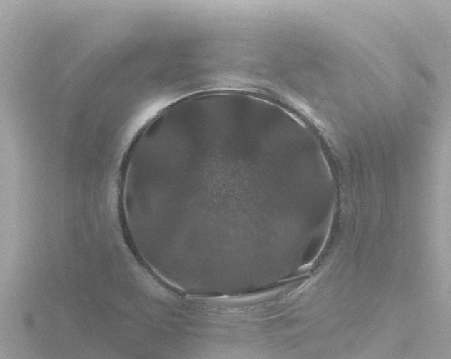 X0000116791463200912241152