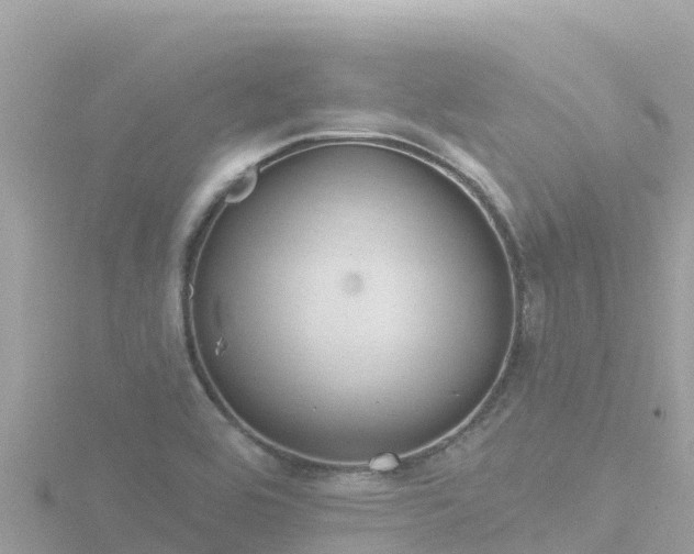 X0000116791464200912241152