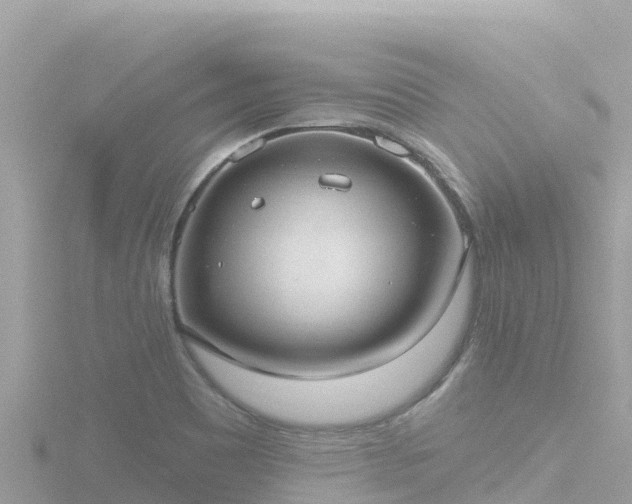 X0000116791465200912241152