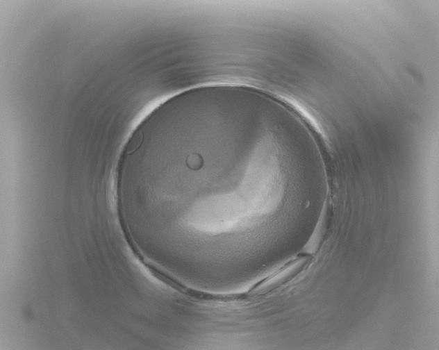 X0000116791468200912241152