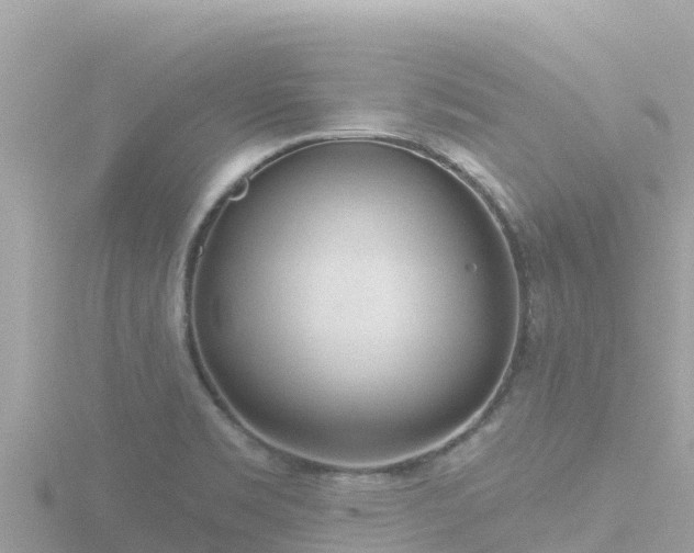 X0000116791469200912241152