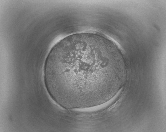 X0000116791471200912241152