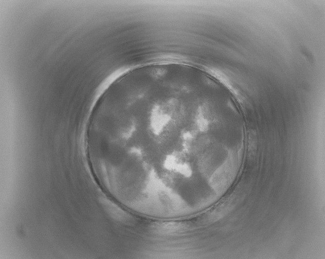 X0000116791474200912241152