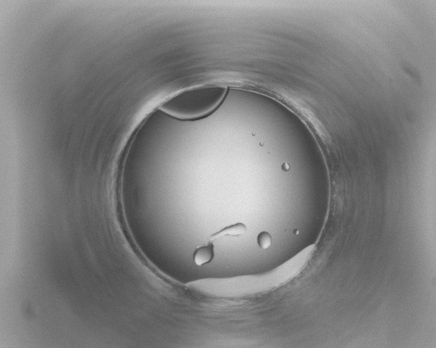 X0000116791475200912241152