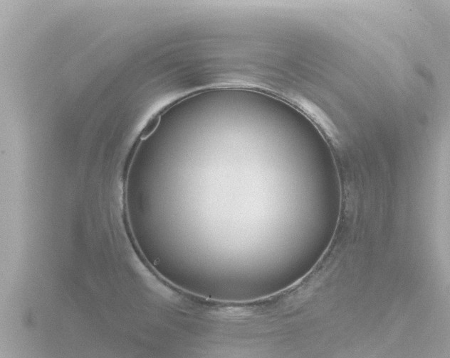 X0000116791476200912241152