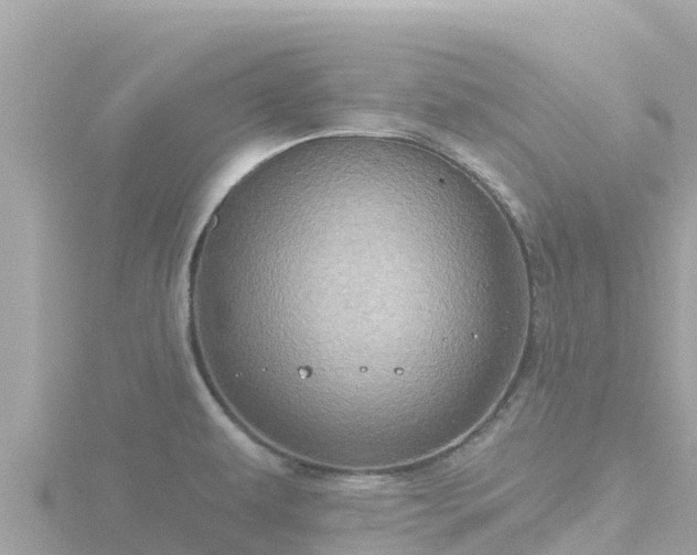 X0000116791479200912241152