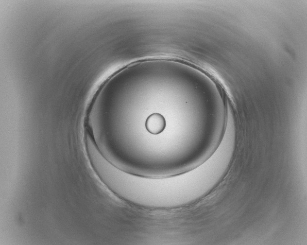 X0000116791480200912241152