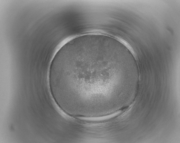 X0000116791482200912241152