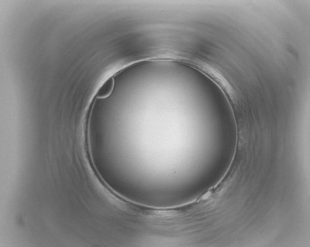 X0000116791483200912241152