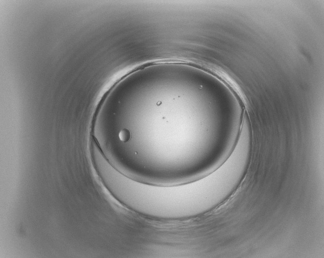 X0000116791485200912241152