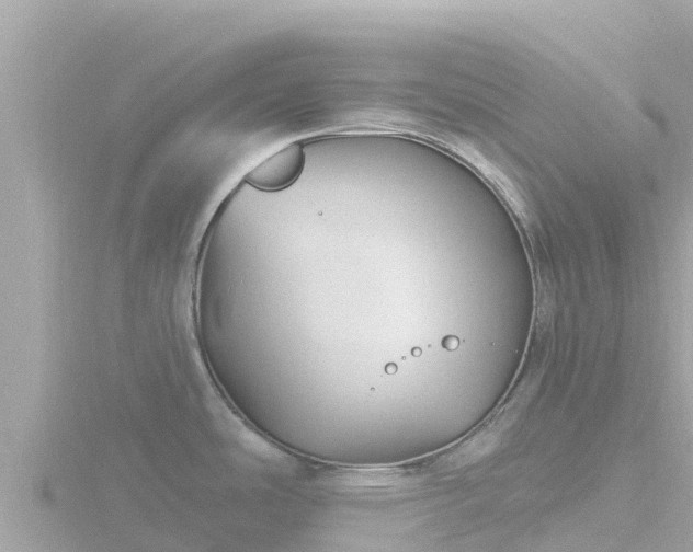 X0000116791486200912241152