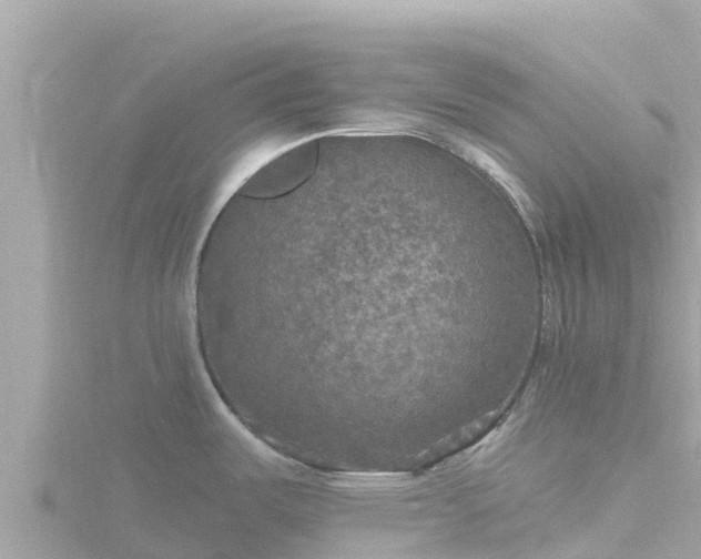 X0000116791487200912241152