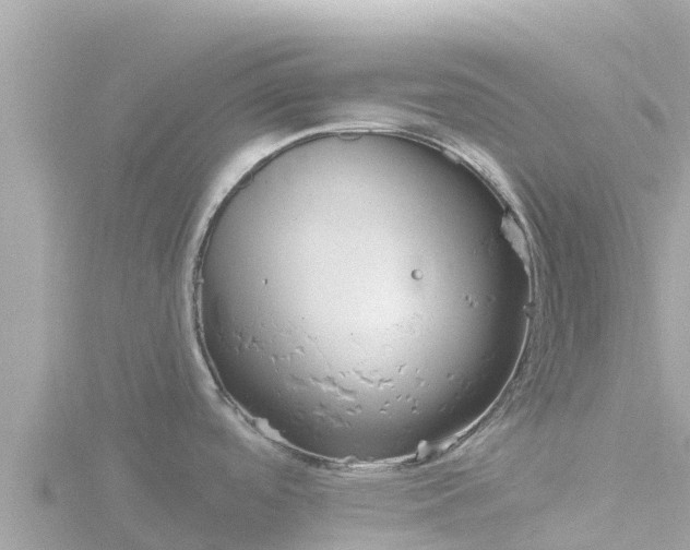 X0000116791488200912241152