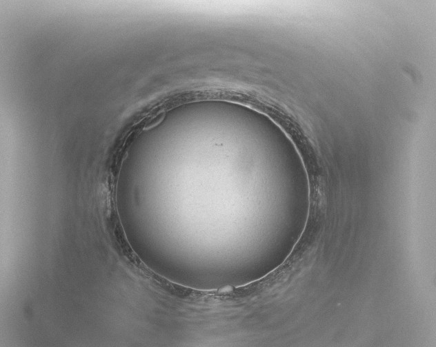 X0000116791493200912241151