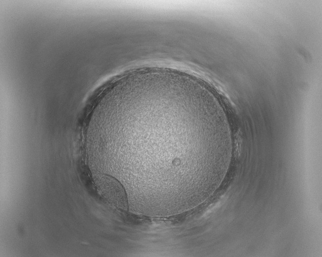 X0000116791494200912241151