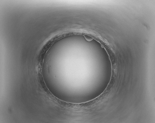 X0000116791495200912241151