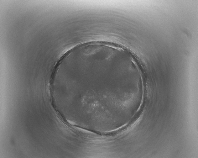 X0000116791497200912241151