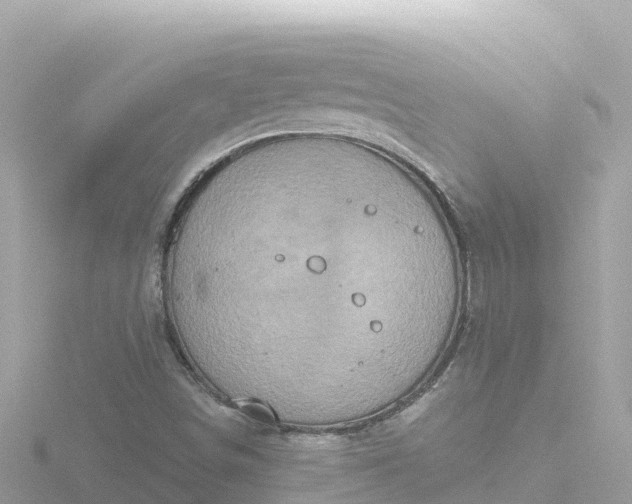 X0000116791498200912241151