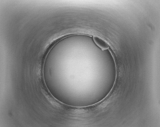 X0000116791499200912241151