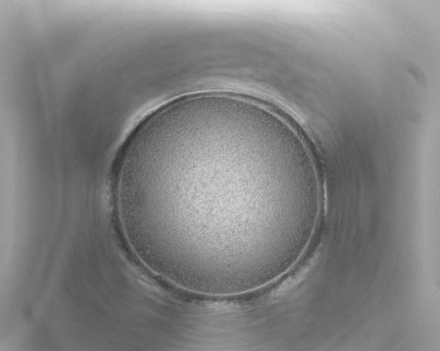 X0000116791501200912241151