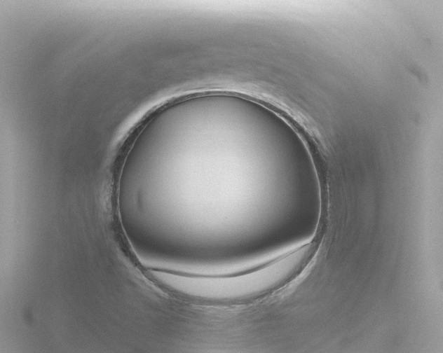 X0000116791502200912241151