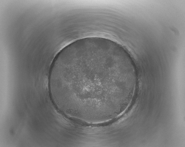 X0000116791505200912241151