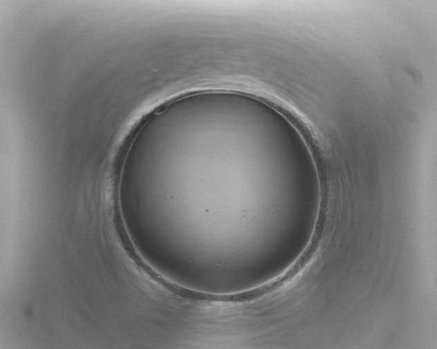 X0000116791506200912241151