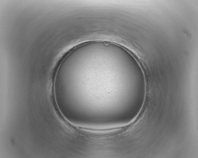 X0000116791507200912241152