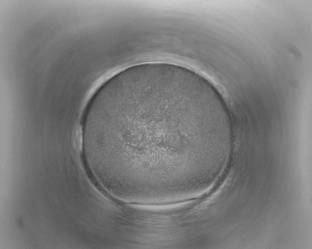 X0000116791509200912241152