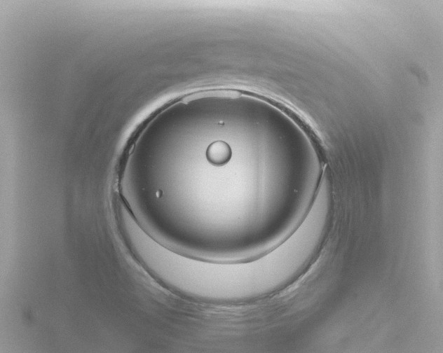 X0000116791510200912241152