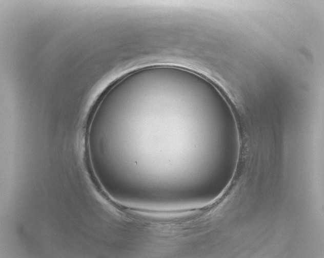 X0000116791511200912241152