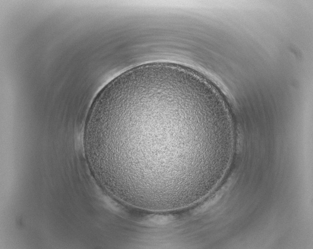 X0000116791513200912241152