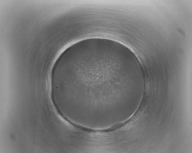 X0000116791515200912241152