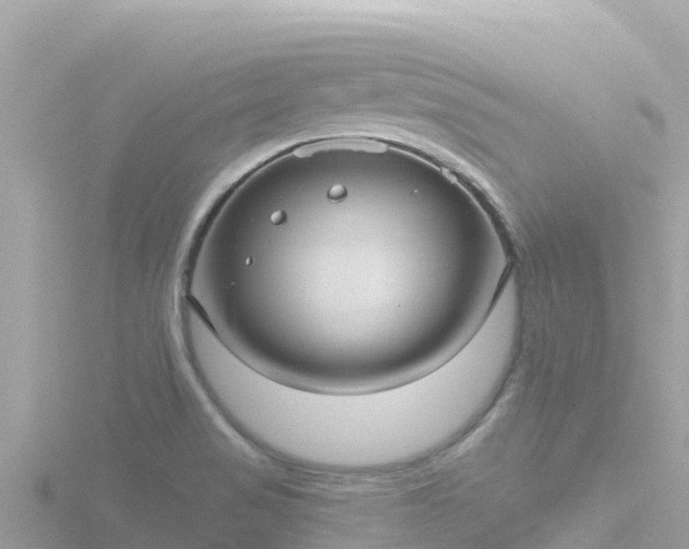 X0000116791517200912241152