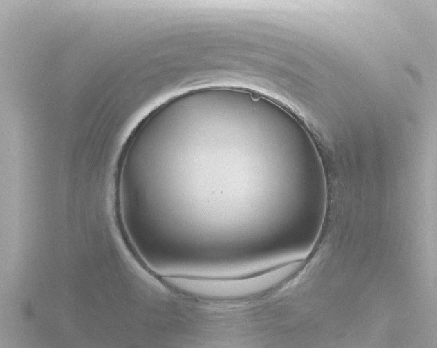 X0000116791518200912241152