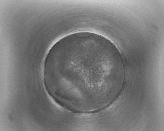 X0000116791519200912241152