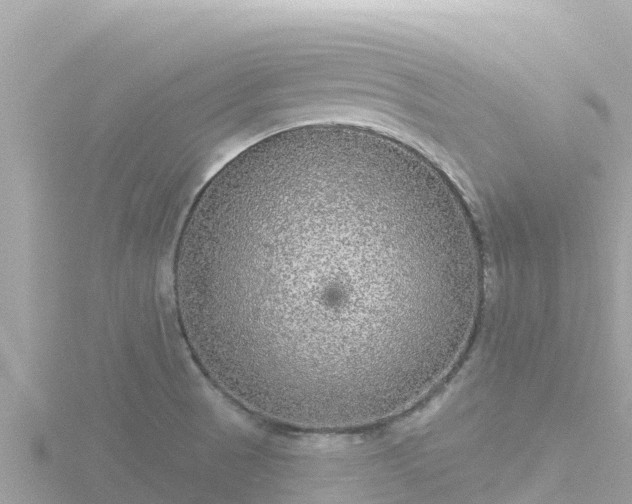 X0000116791521200912241152