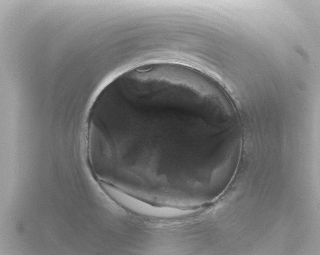 X0000116791522200912241152