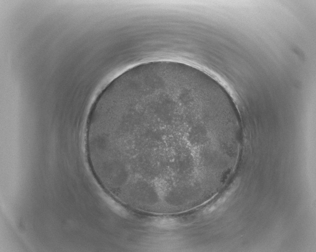 X0000116791525200912241152