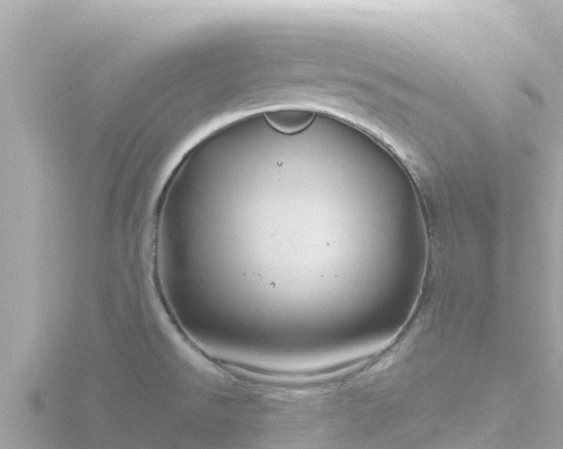 X0000116791526200912241152