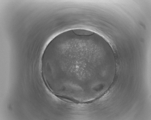 X0000116791527200912241152