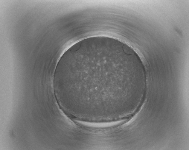 X0000116791529200912241152